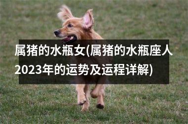 属猪的水瓶女(属猪的水瓶座人2025年的运势及运程详解)