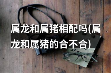 属龙和属猪相配吗(属龙和属猪的合不合)