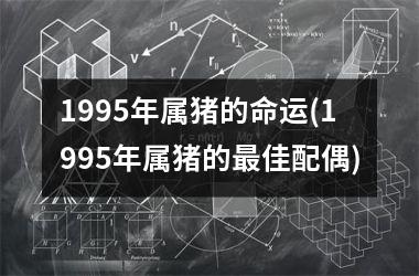 1995年属猪的命运(1995年属猪的佳配偶)
