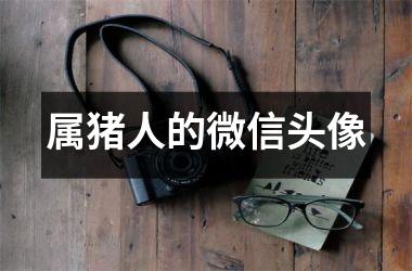 属猪人的微信头像