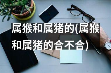 属猴和属猪的(属猴和属猪的合不合)