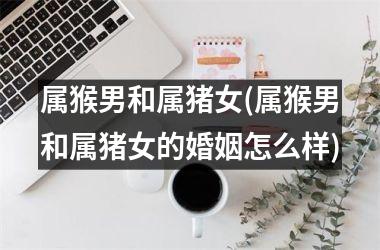 属猴男和属猪女(属猴男和属猪女的婚姻怎么样)