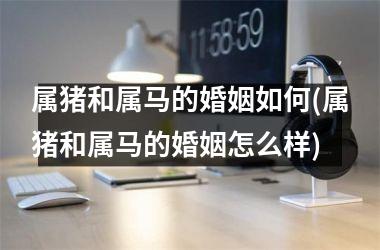 属猪和属马的婚姻如何(属猪和属马的婚姻怎么样)
