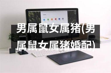 <h3>男属鼠女属猪(男属鼠女属猪婚配)