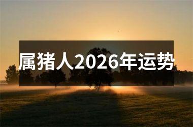 属猪人2026年运势