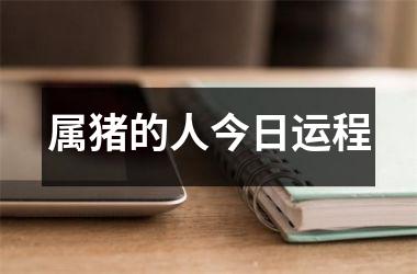 属猪的人今日运程