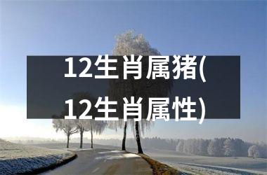 <h3>12生肖属猪(12生肖属性)