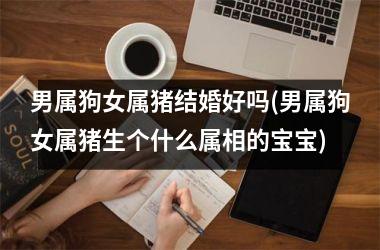 男属狗女属猪结婚好吗(男属狗女属猪生个什么属相的宝宝)