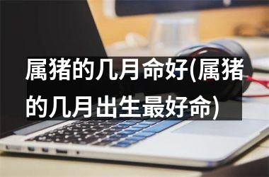 属猪的几月命好(属猪的几月出生好命)