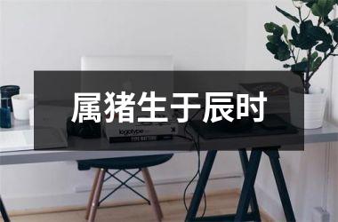 属猪生于辰时