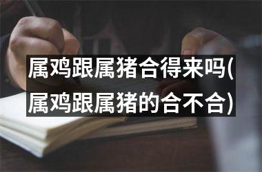 属鸡跟属猪合得来吗(属鸡跟属猪的合不合)