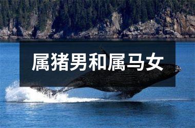 属猪男和属马女