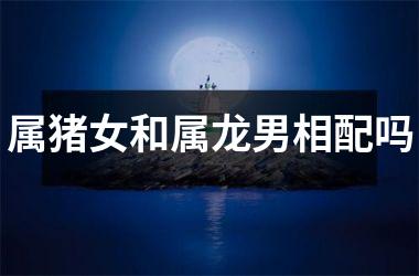 属猪女和属龙男相配吗