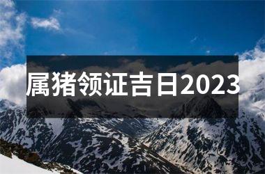 <h3>属猪领证吉日2025
