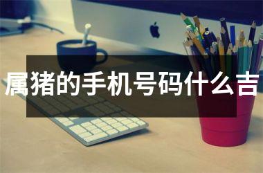 属猪的手机号码什么吉