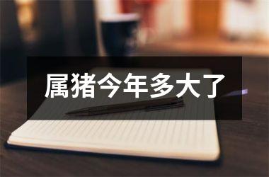 <h3>属猪今年多大了