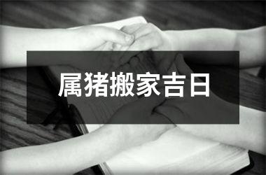 属猪搬家吉日