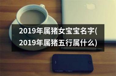 <h3>2019年属猪女宝宝名字(2019年属猪五行属什么)