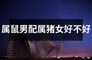 属鼠男配属猪女好不好