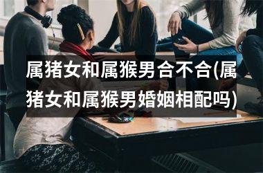 属猪女和属猴男合不合(属猪女和属猴男婚姻相配吗)