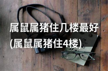 属鼠属猪住几楼好(属鼠属猪住4楼)