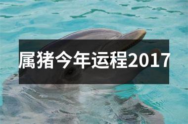 属猪今年运程2017
