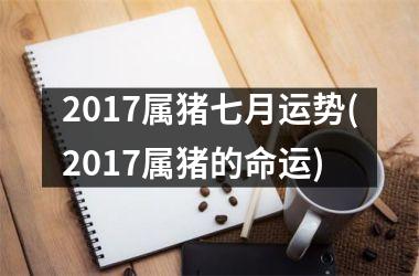 2017属猪七月运势(2017属猪的命运)