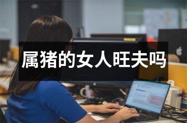 属猪的女人旺夫吗