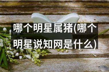 <h3>哪个明星属猪(哪个明星说知网是什么)