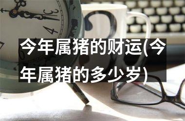 今年属猪的财运(今年属猪的多少岁)