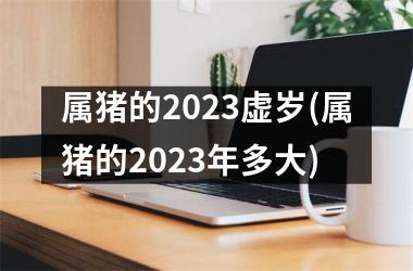 属猪的2025虚岁(属猪的2025年多大)