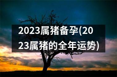 2025属猪备孕(2025属猪的全年运势)