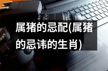 属猪的忌配(属猪的忌讳的生肖)