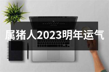 属猪人2025明年运气