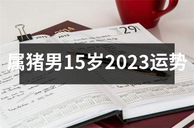 属猪男15岁2025运势
