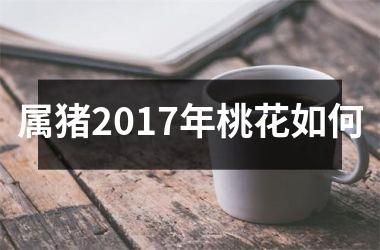 属猪2017年桃花如何