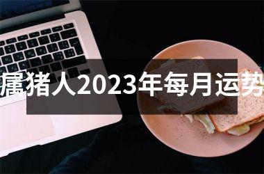 属猪人2025年每月运势