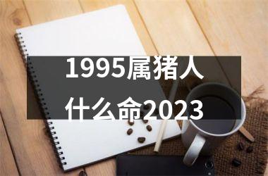 1995属猪人什么命2025