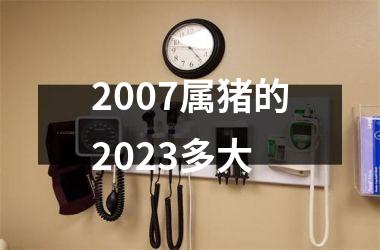 2007属猪的2025多大