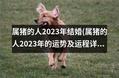 属猪的人2025年结婚(属猪的人2025年的运势及运程详解)