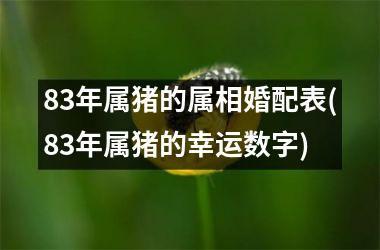 83年属猪的属相婚配表(83年属猪的幸运数字)