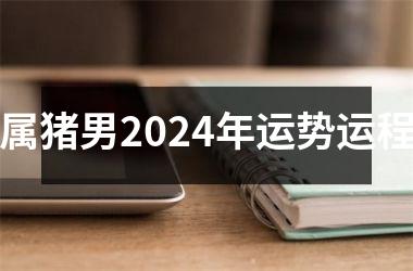 属猪男2024年运势运程