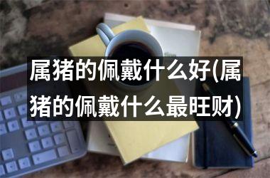 属猪的佩戴什么好(属猪的佩戴什么旺财)