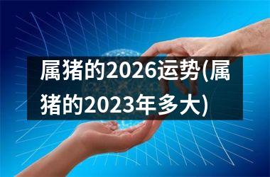属猪的2026运势(属猪的2025年多大)