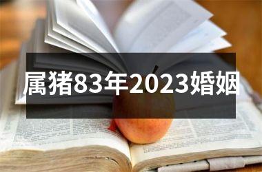 属猪83年2025婚姻