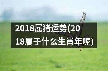 2018属猪运势(2018属于什么生肖年呢)