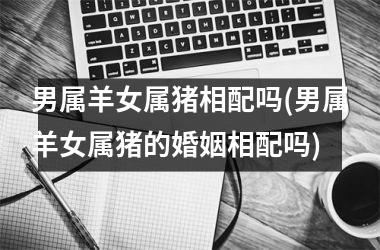 男属羊女属猪相配吗(男属羊女属猪的婚姻相配吗)