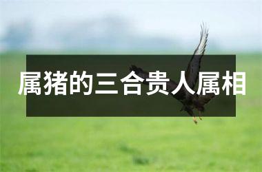 属猪的三合贵人属相