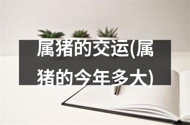 属猪的交运(属猪的今年多大)