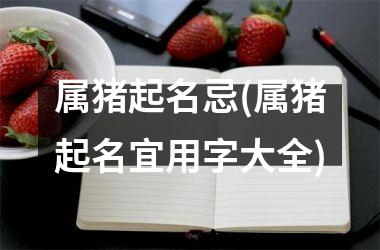 属猪起名忌(属猪起名宜用字大全)